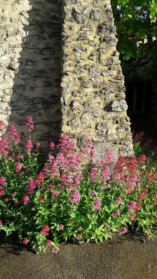 Gite Aux Tournesols Malaucène Exteriör bild